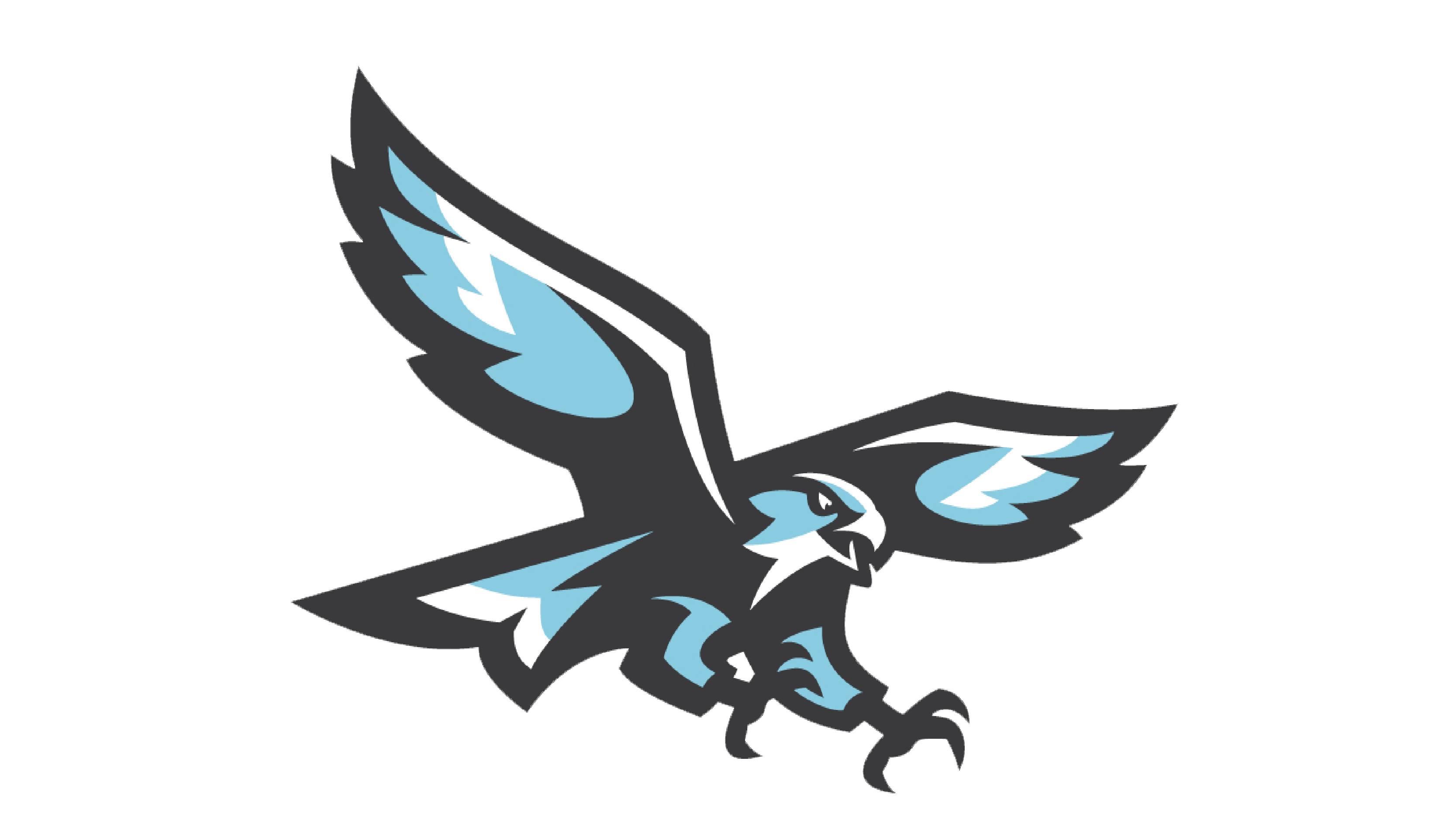 Nighthawk Transfer Scholarship