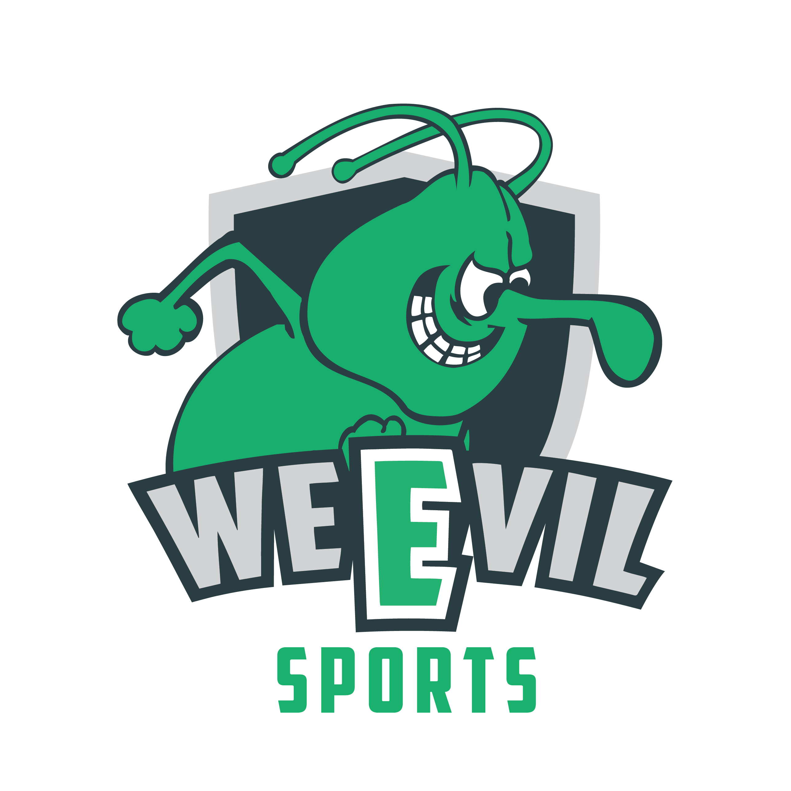 Weevil Esports