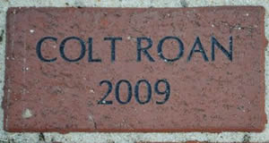 COLT ROAN 2009