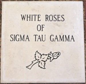 WHITE ROSE OF SIGMA TAU GAMMA