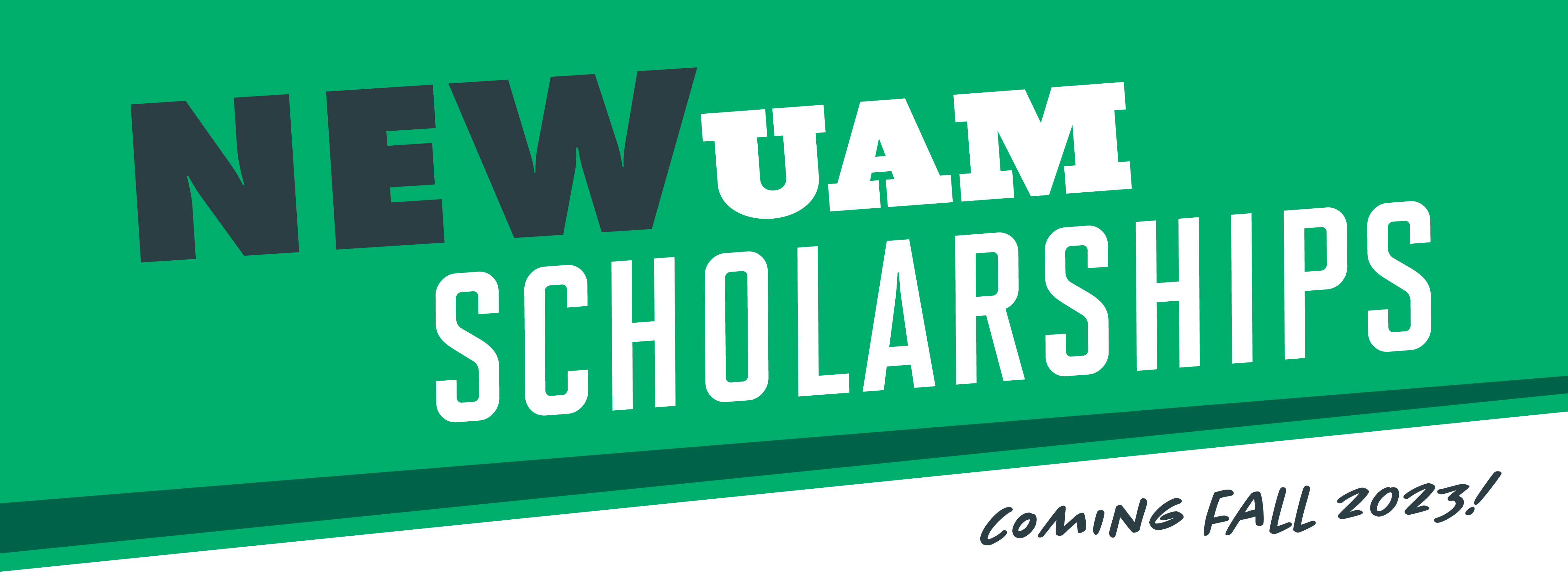 UAM New Scholarships